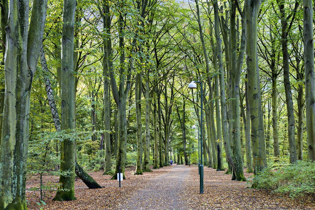 Borgmästaregården  i malmö