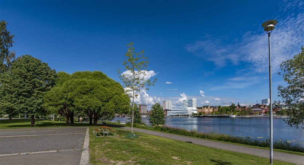 Teg  i umeå