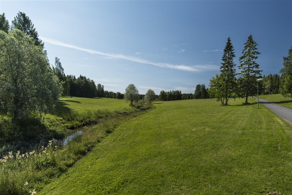 Marieområdet  i umeå