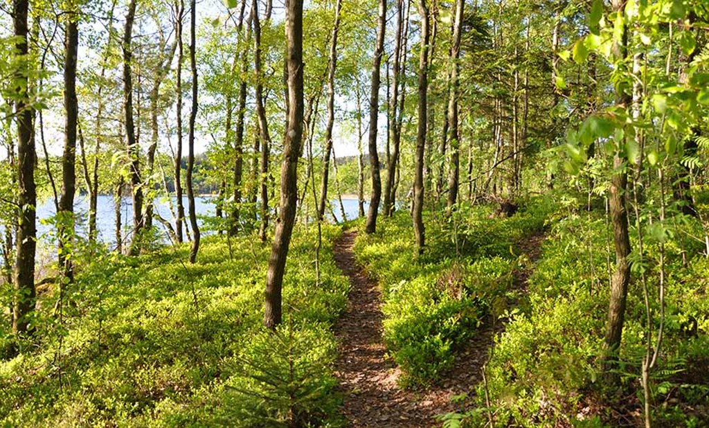 Ljungby  i falkenberg