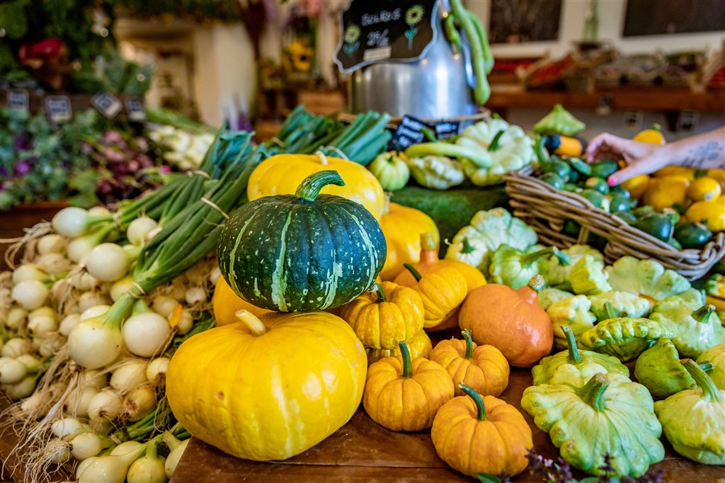Ugglarp  i falkenberg