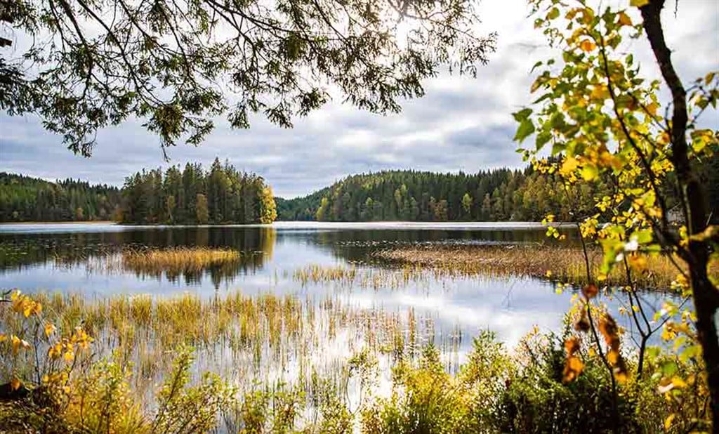 Älvsered  i falkenberg