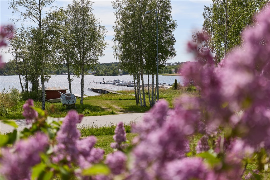 Juniskärsvägen 139, Kvissleby