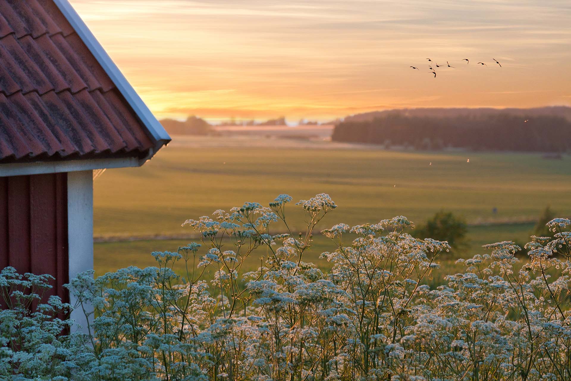 Mäklarhuset värdera din bostad