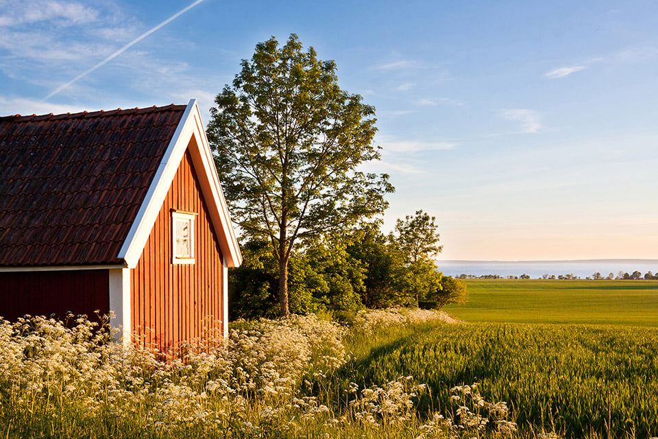 Har du hyrt ut ditt fritidshus i år? 